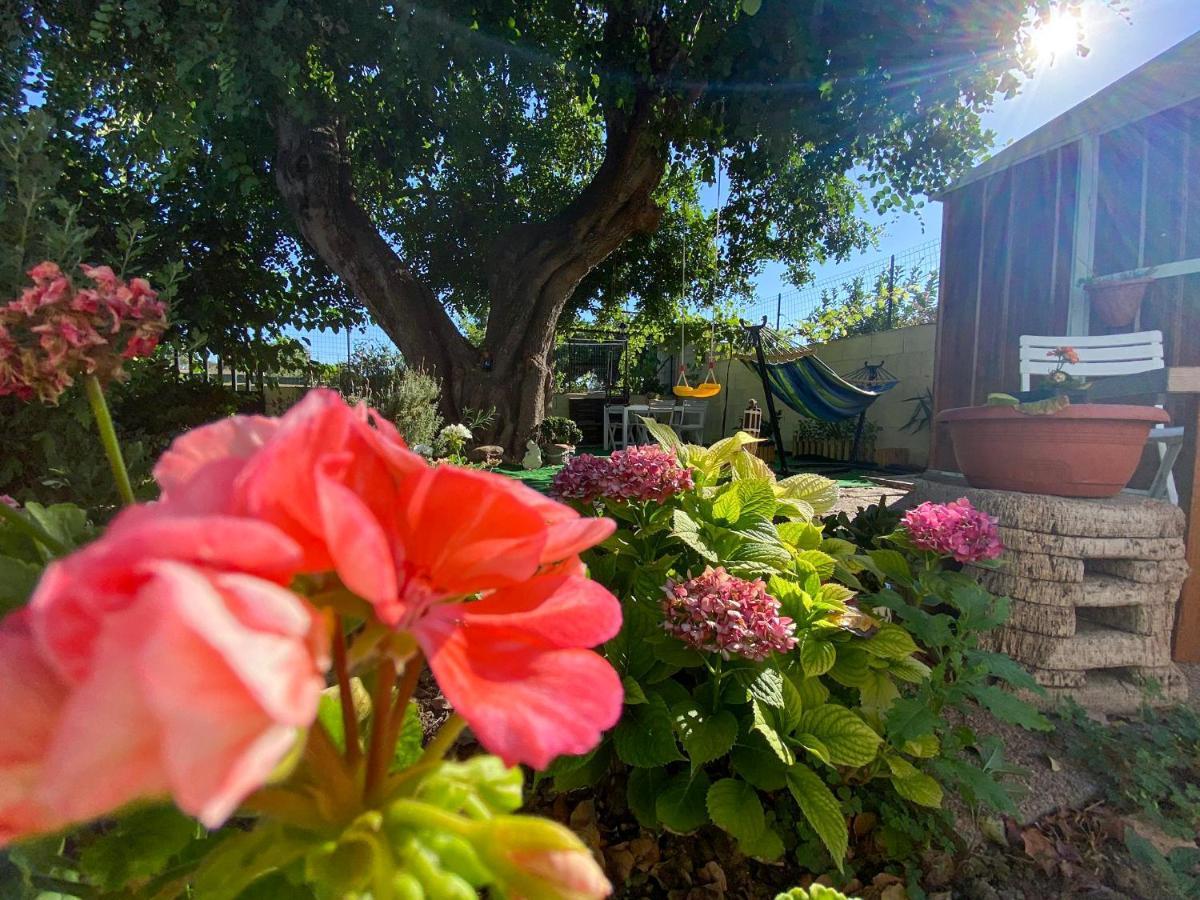 La Casa Del Carrubo Villa Cagliari Exterior foto
